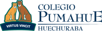 logo_Pumahue_Huechuraba_horizontal