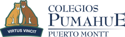 logo_Pumahue_Puerto Montt_horizontal_color
